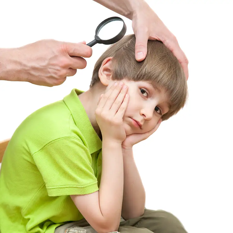 professional using magnifying glass to check little boy's hair for head lice - St. Charles, MO