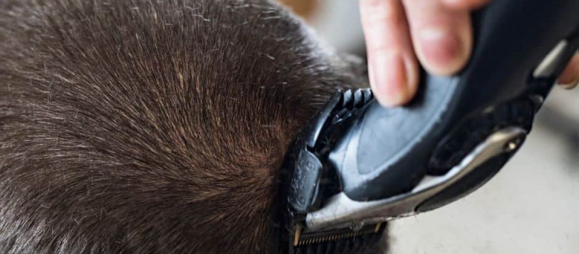 Person Shaving Their Head